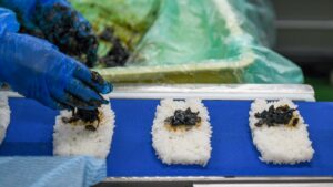 108163576-1750817985841-gettyimages-1988747194-JAPAN_FUJI_FOODS.jpeg