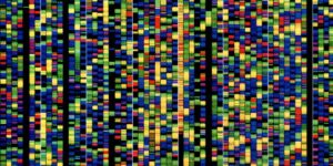 250624_AlphaGenome.jpg