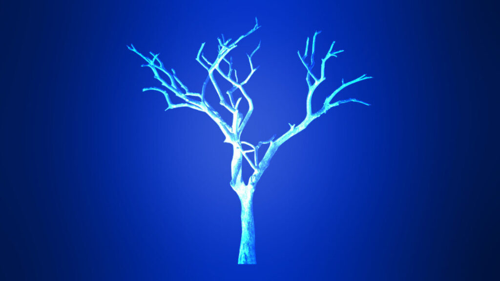 branch_2-1152x648.jpg