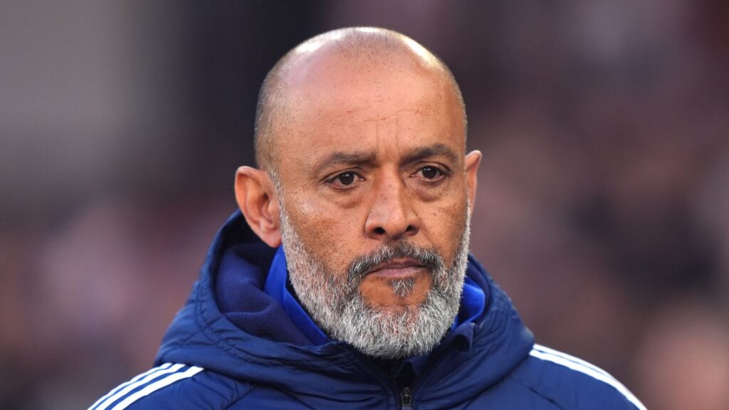 skysports-nuno-espirito-santo_6997862.jpg