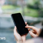 Preocupaciones de seguridad sobre el sistema central de la identificación digital